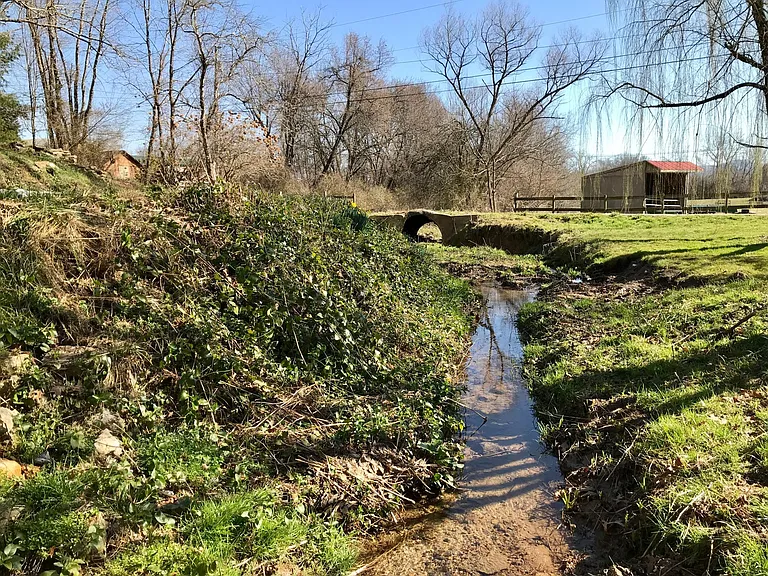 Small stream in front yard.