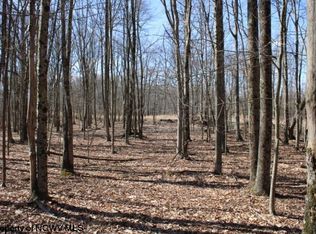 LOT 7 Sand Bank Rd, Masontown, WV 26542