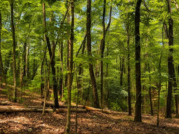 J208 Pine Ridge Ct, Ellijay, GA 30536
