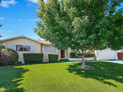 1777 Woodland Ct, Concord, CA, 94521