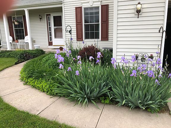2nd image of 3316 Brunswick Square Dr
