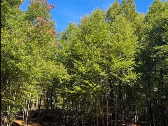 4th image of 170 Davis Rd