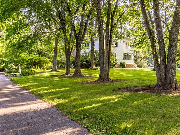 Tree lined driveway 