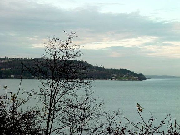 VIEW OF CHANNEL