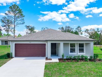 1550 W Saint Elizabeth Pl, Citrus Springs, FL, 34434