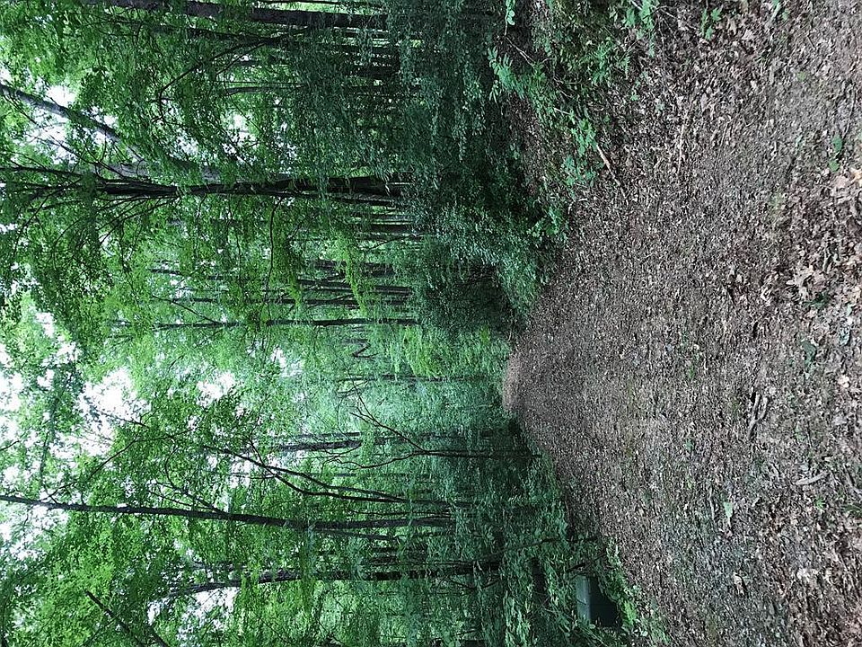 2nd image of 10 Skid Strip Ln Lot 10