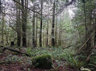 0 Dragonfly Pl, Brinnon, WA 98320