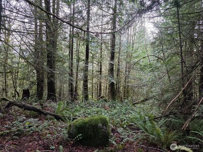 0 Dragonfly Lane, Brinnon, WA, 98320