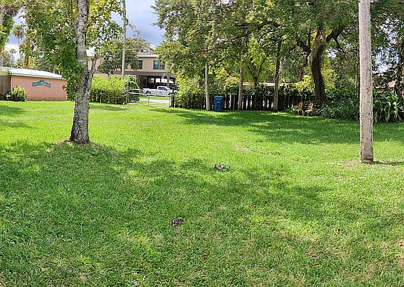 another view of Front Yard 