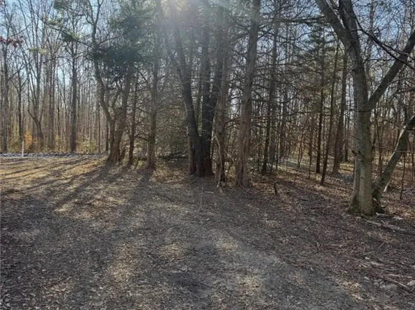 16374 Saint Peters Church Rd Lot 2, Montpelier, VA 23192