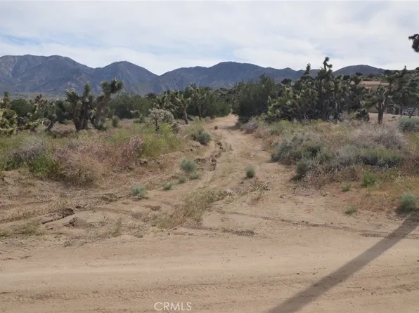 0 Longview X Old Homestead Lot 11, Pearblossom, CA 93553