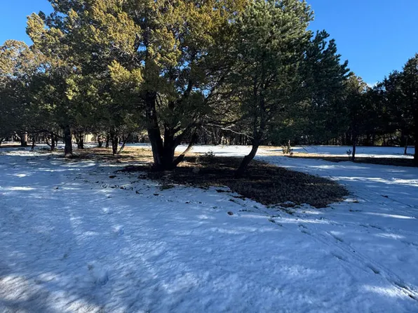 LOT 90 Deer Park Dr #3, Alto, NM 88312