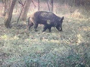 1179 Rancho Rd, Quinlan, TX 75474