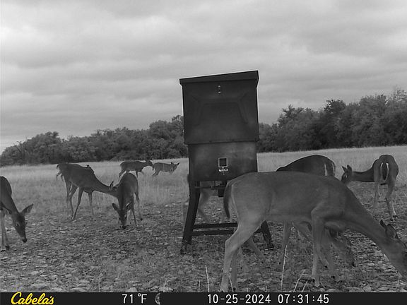 3rd image of 0 County Road 316