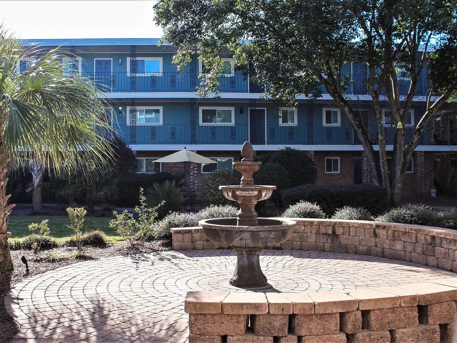Palmetto Square — Photo 4