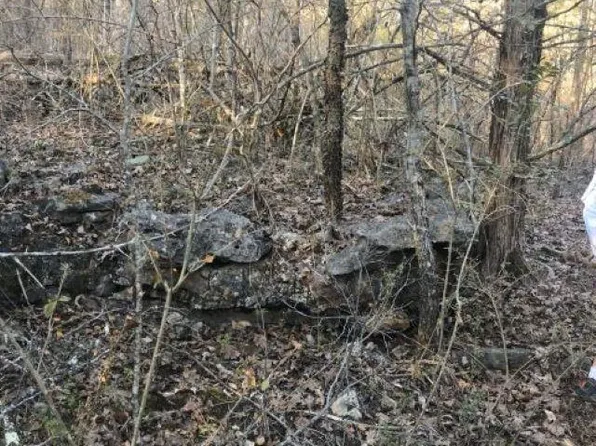 007-14339 Pinetree Ln #2, Mountain Home, AR 72653