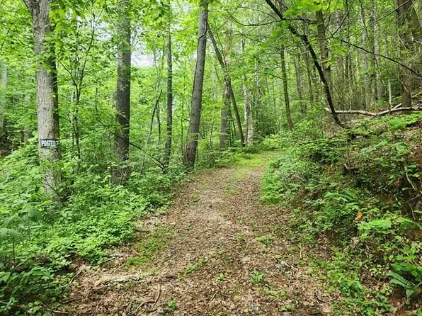 Goose Island Rd, Ellijay, GA 30540