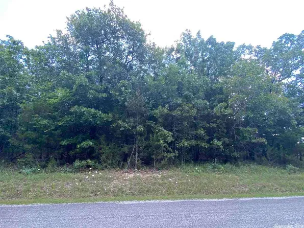 709 Catbird Dr, Horseshoe Bend, AR 72512