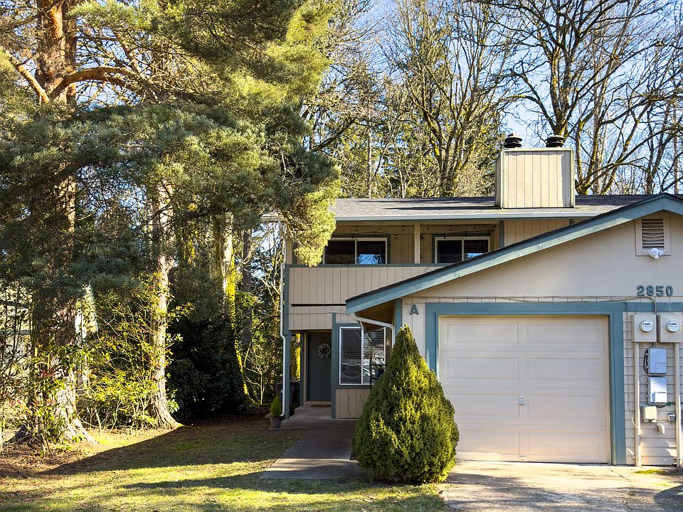 Front yard / driveway