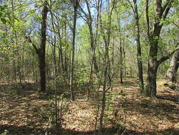 2nd image of Airline Rd