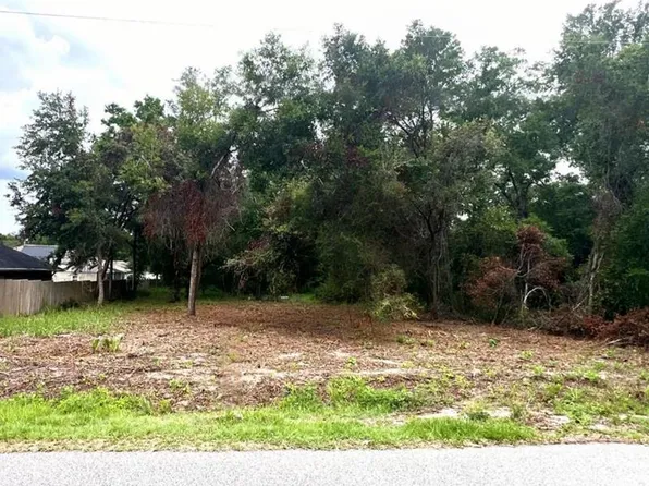 LOT 41 SE 81st Ct Lot 41, Summerfield, FL 34491