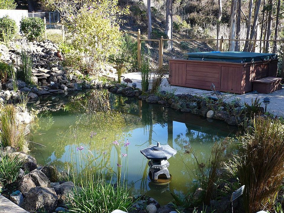 POND AREA