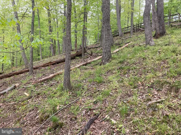 6797 Oakrise Rd, New Market, MD 21774