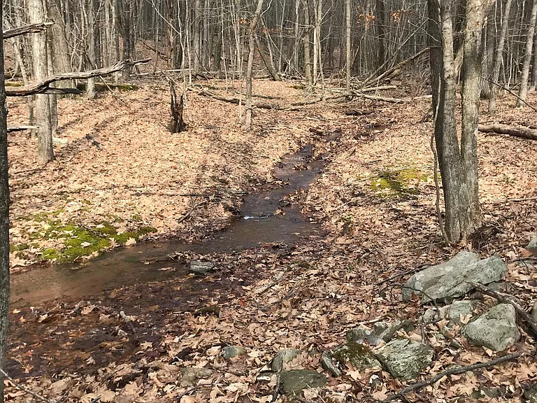 Seasonal stream