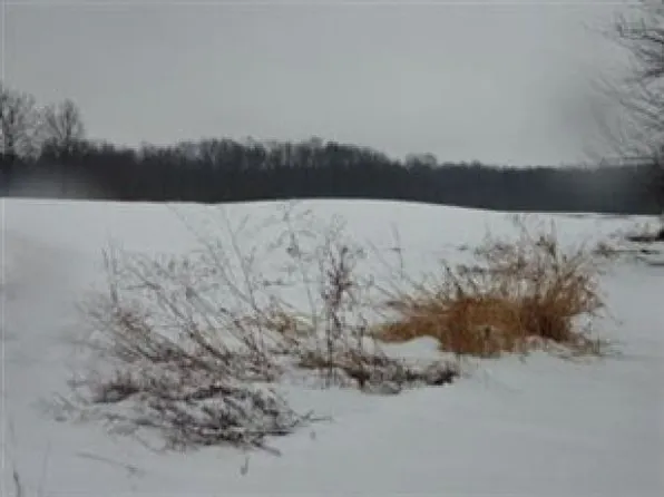 15787 Mayfield Rd, Huntsburg, OH 44046
