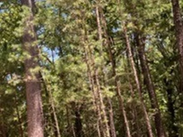Whispering Pines Loop, Antlers, OK 74523