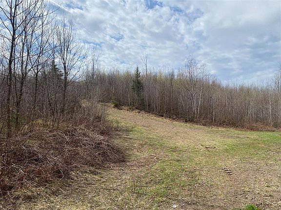 3rd image of Near Wilson Lake Road