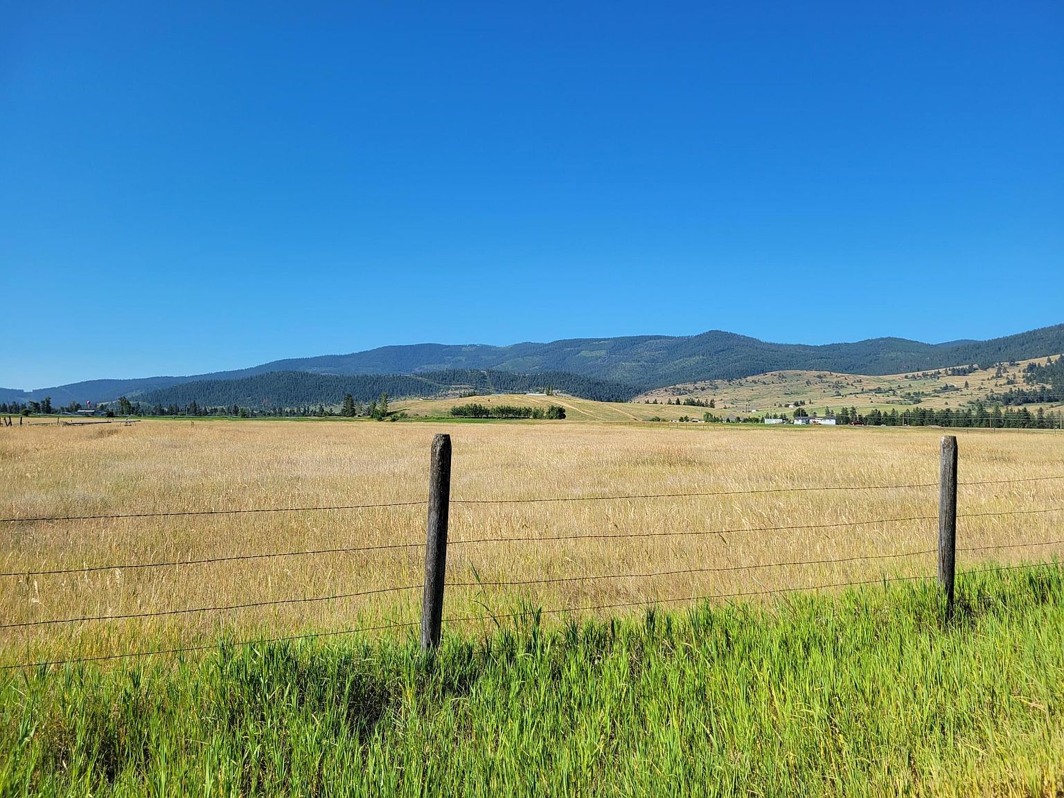 Nhn White Coyote Rd, Arlee, MT 59821 Zillow