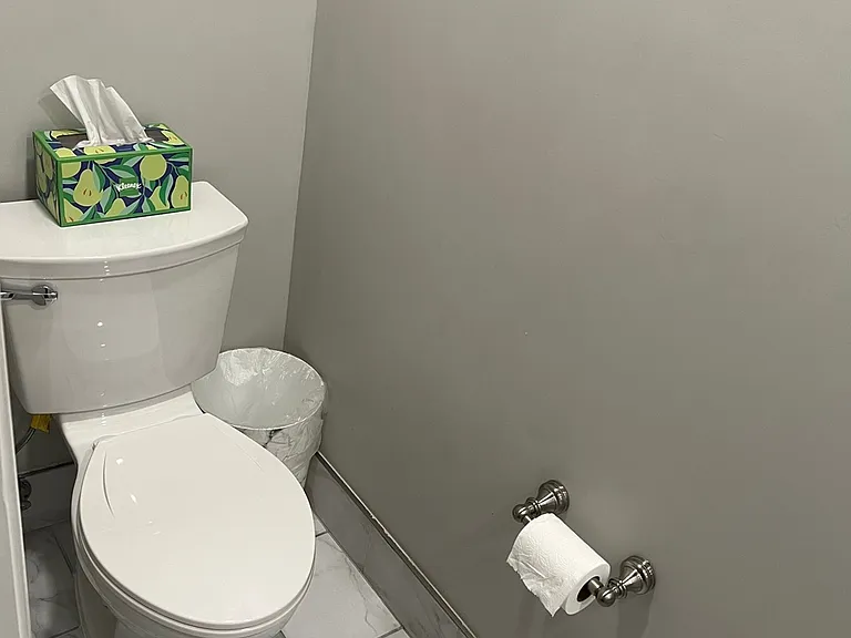 Guest Half Bathroom