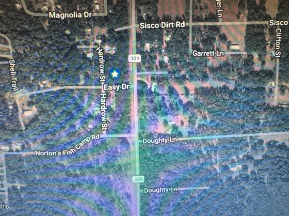 LOT 1 309, Satsuma, FL 32189