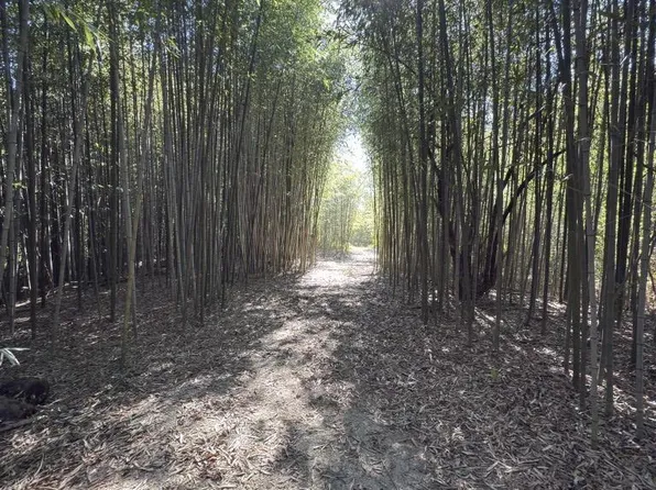 456 Marshall Ivy Rd, Huntington, TX 75949