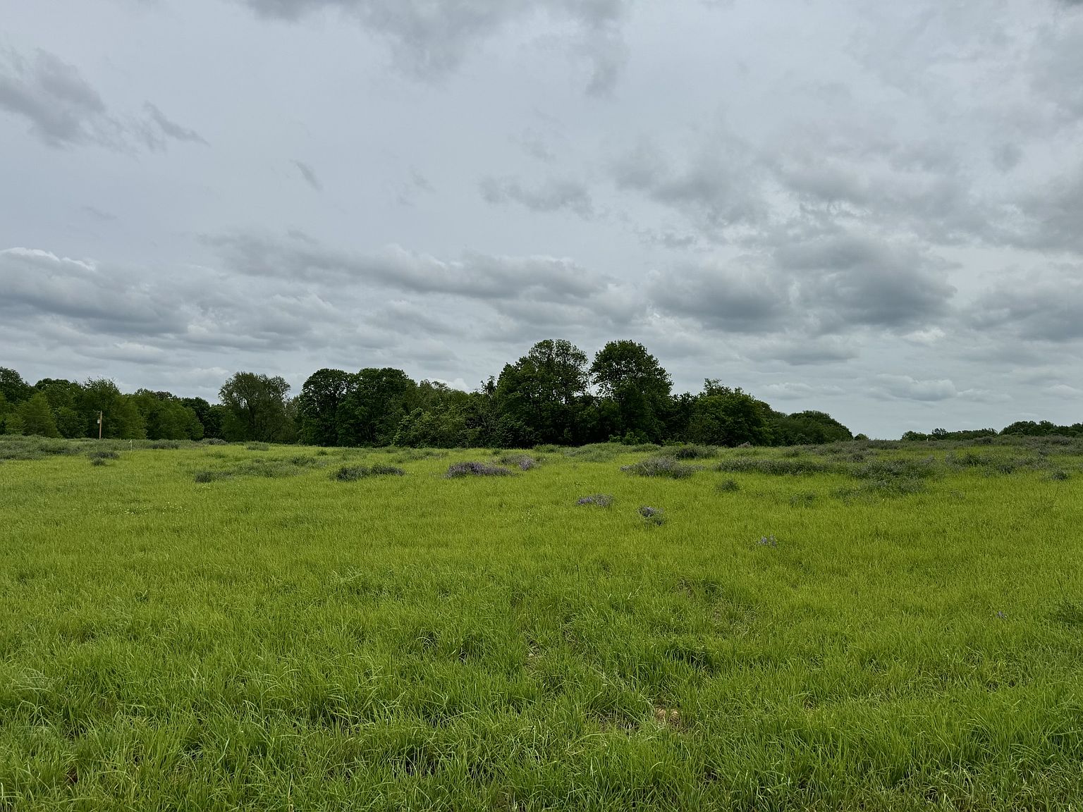 5C Gholson Rd LOT 5C, Clarksville, TN 37043 MLS 2648803 Zillow