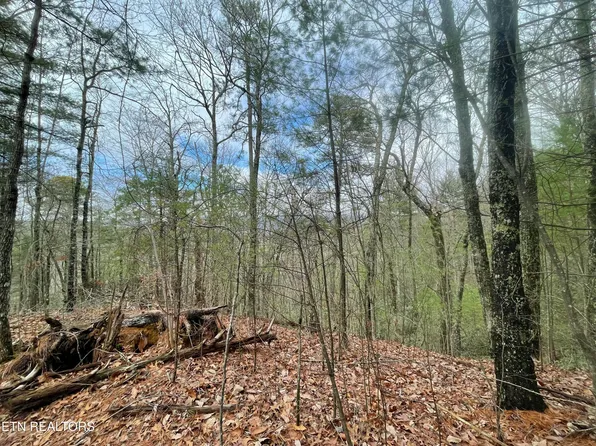 Walnut Flats Rd, Walland, TN 37886