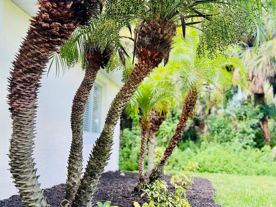 1709 Kerman St, North Port, FL 34288 Zillow