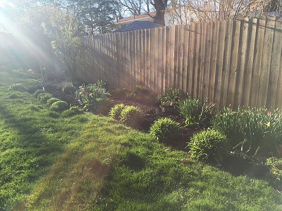 Back yard property line
