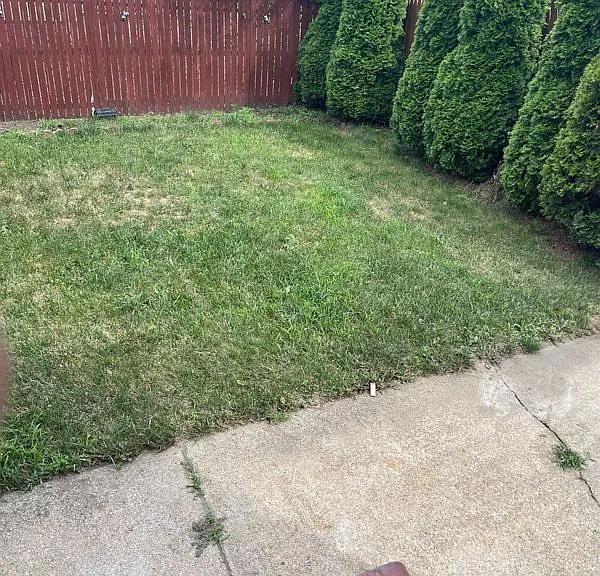 398 Wellington Ave — Photo 4