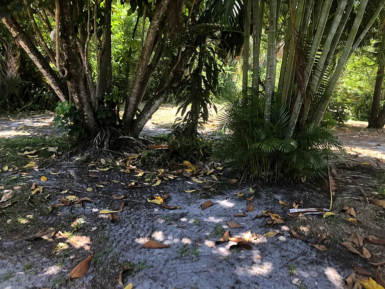 905 Espanola Way — Photo 28