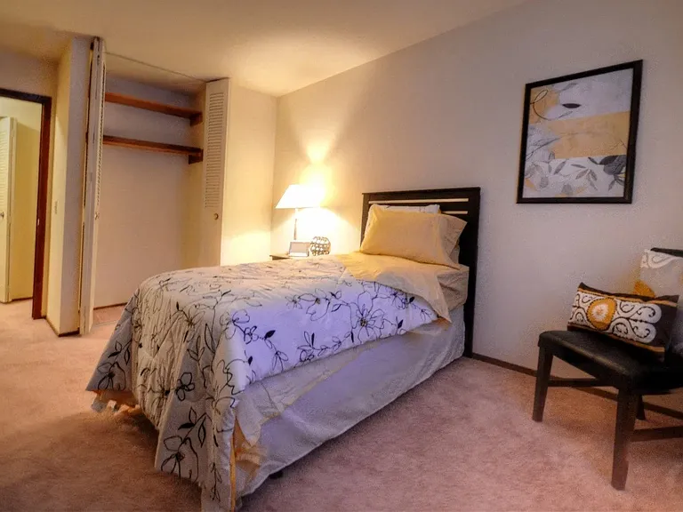 Bedroom with closet view