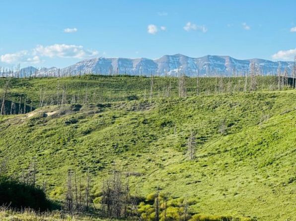 (undisclosed Address)