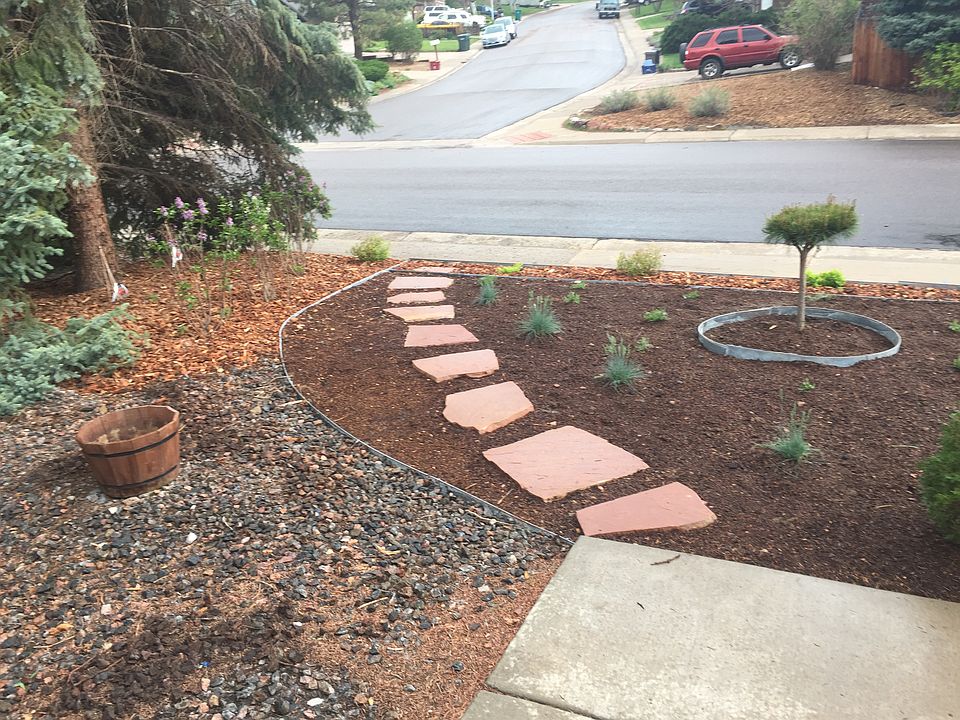 Front lawn 