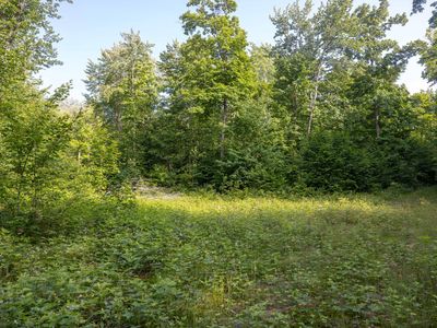 0 Oakwood Rd, Newberry, MI, 49868