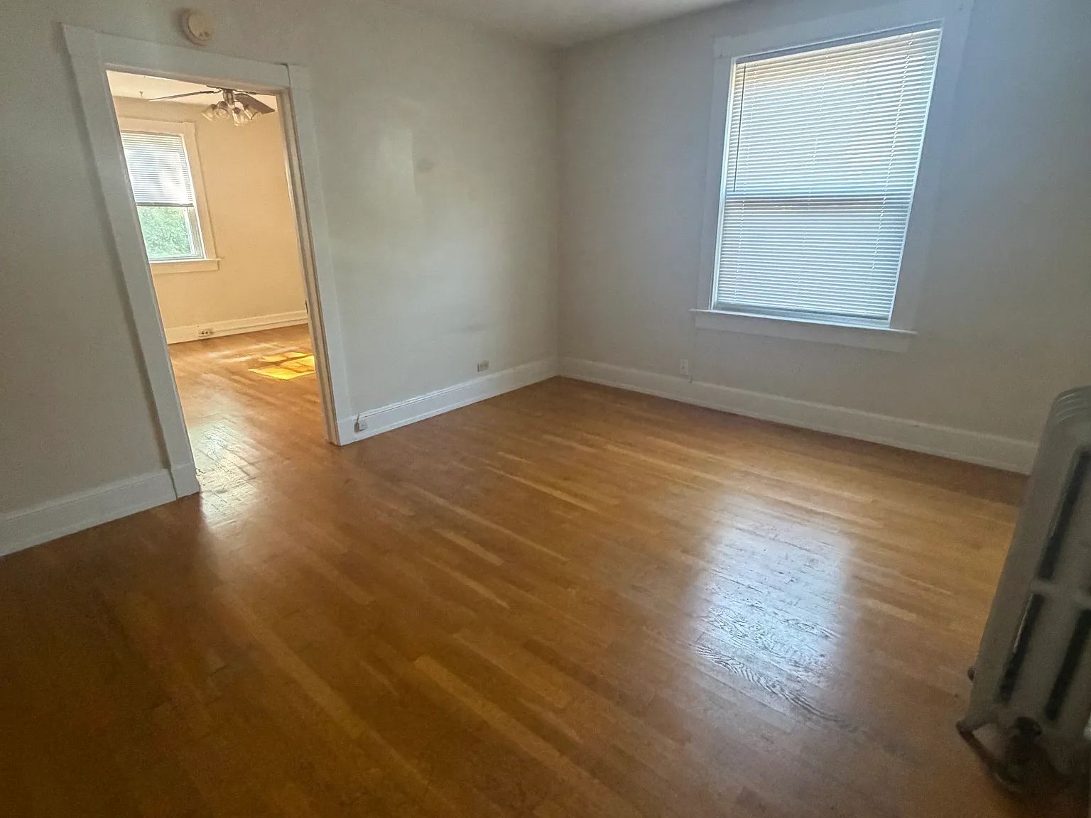 1 bed, 520 sqft, $1,250 — Photo 2