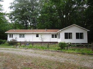 541 Ranch Rd, Indian River, MI 49749
