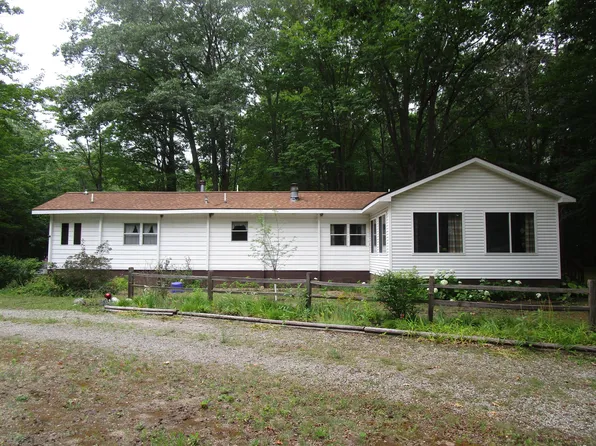 541 Ranch Rd, Indian River, MI 49749