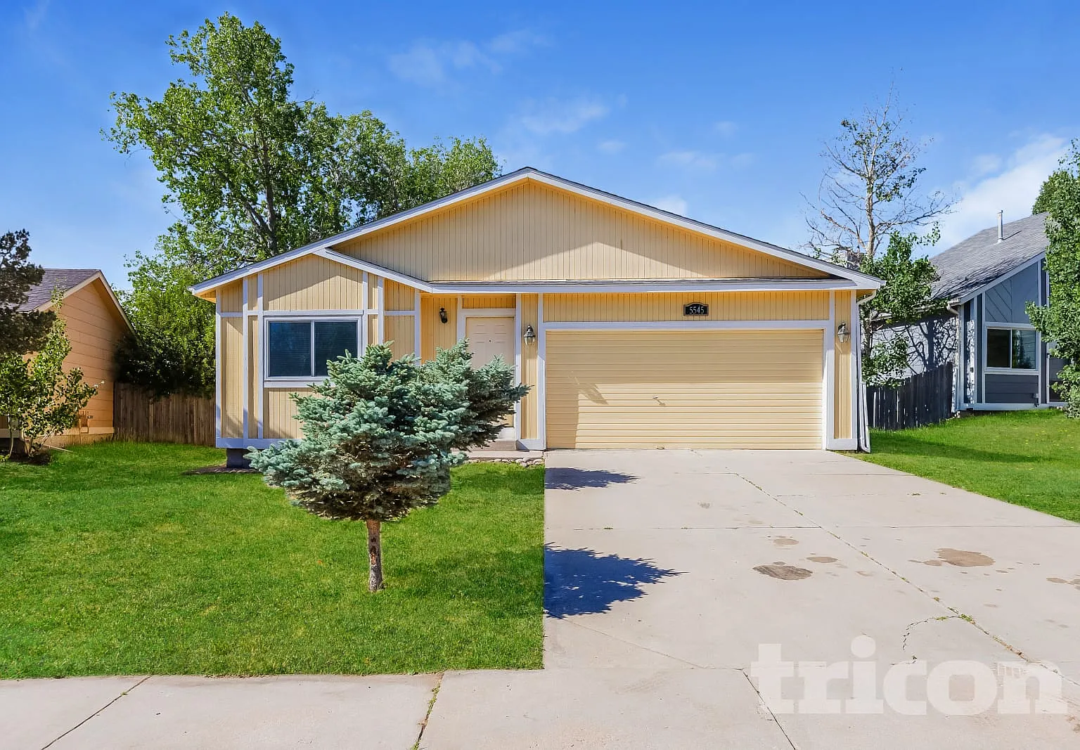5545 Alma Terrace Colorado Springs CO — Photo 1