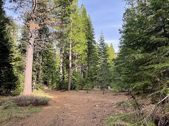 2nd image of 1830 Sugarpine Trl